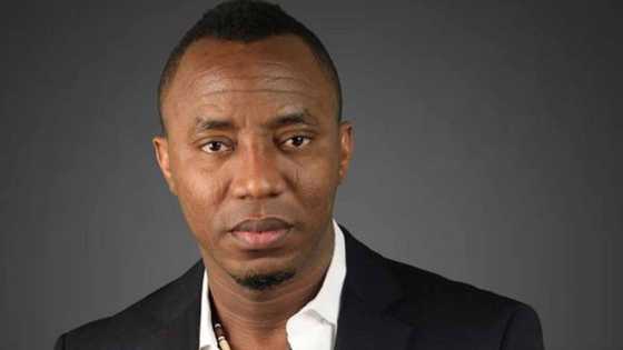 FG reportedly mulls dragging judge before NJC for granting Sowore bail