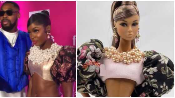 BBNaija Bella brings Barbie's fashionable 2-piece to live at premiere: "Is she breathing well?"
