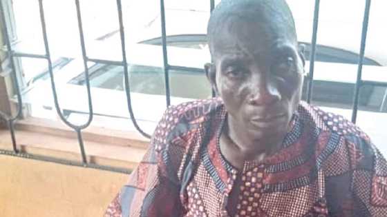 Tashin Hankali: Yaro Ya Bindige Abokiyar Wasarsa Yar Shekara 3 Har Lahira A Ogun