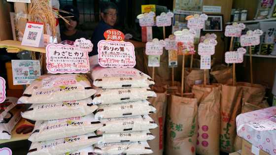 Rice prices up 91 pct year-on-year in Japan