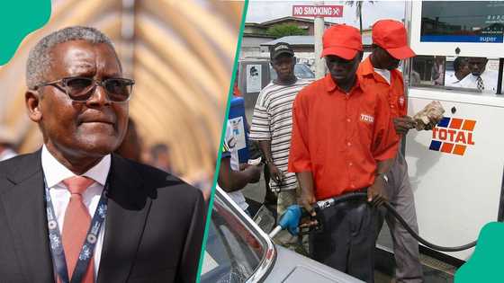 FULL LIST: 12 petrol marketers sign new deal to sell Dangote fuel nationwide