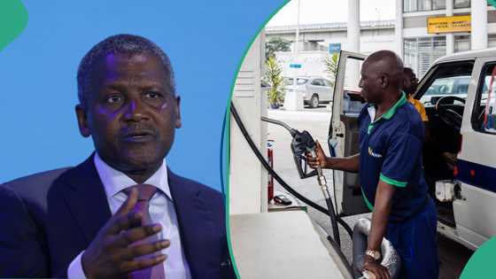 New fuel price: Oil marketers to meet Dangote after crashing prices by N80