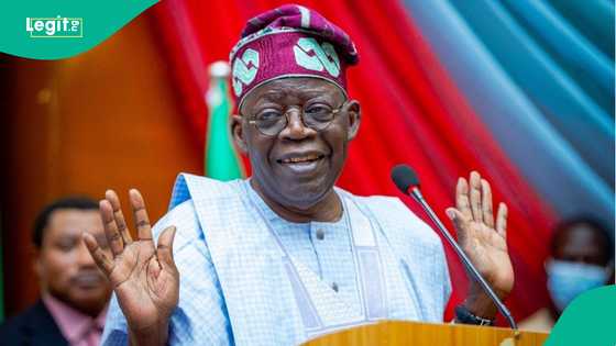 Su wanene ke juya akalar gwamnatin Shugaba Bola Tinubu? Minista ya koro bayani