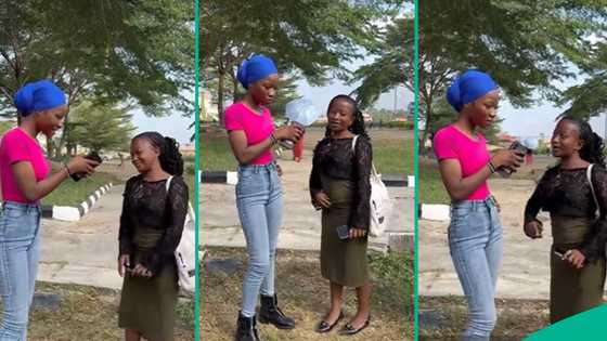 Student explains why she’d choose first class over 100 million dollars, many react to viral video