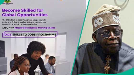 How to apply as FG opens iDICE 30,000 job training programme for Nigerian youths