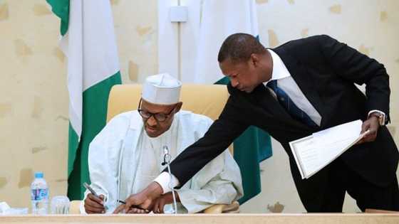 BREAKING: FG finally declares bandits as terrorists, issues gazette