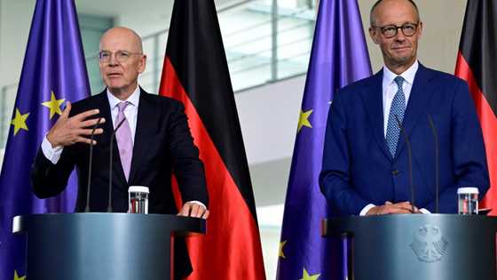 Merz tasks banker with luring investment to Germany