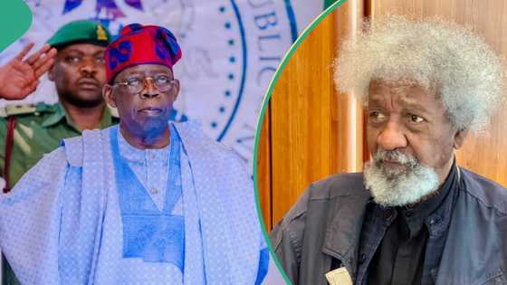 Tsadar rayuwa: Wole Soyinka ya fadi kuskuren Tinubu bayan jawabinsa kan zanga zanga