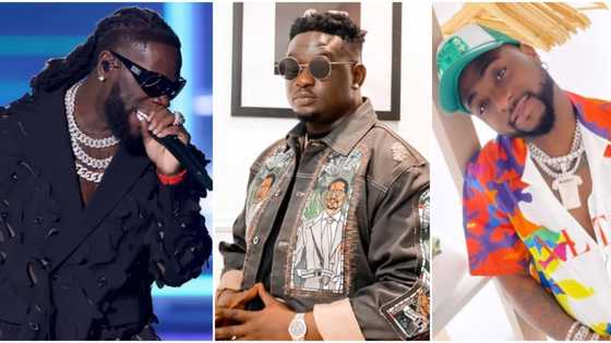 Burna Boy, Wande Coal, Davido, other Nigerian singers who have been accused of assault on social media