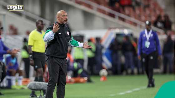 Eric Chelle in heated outburst as Super Eagles coach confronts DR Congo staff during WC playoff final, video
