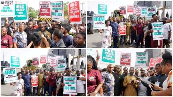 Breaking: Youths storm INEC collation centre, say INEC failed over conduct of 2023 presidential election