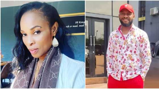 We're not like you who couldn't zip up: Georgina Onuoha replies Yul Edochie, heavily slams actor and Gistlover