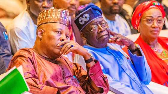 BREAKING: Tinubu speaks on preferred candidates for Senate president, House of Reps Speaker