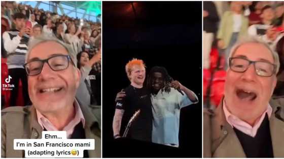 Oyinbo man happily sings Fireboy’s Peru song word for word as singer performs at Wembley Stadium, video trends