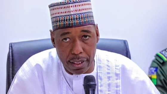 Zulum ya raba wa iyalai 5,000 kayan abinci, ya ziyarci dakarun soji a Borno