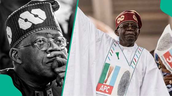 2027 elections: 6 reasons why Tinubu will be re-elected, popular Nigerian lawyer speaks