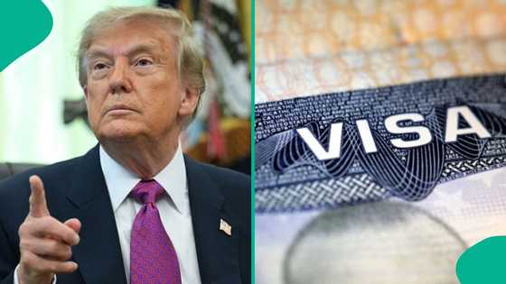 US releases 7 categories of people who can apply for visa without paying fee