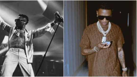 In Lagos, Delta, & Abuja: 4 times overzealous fans harass Wizkid on stage, pull him down during performance