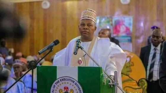 Ex-governor Shettima says next president should come from south