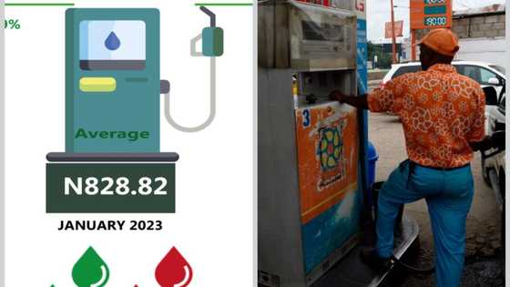 Bauchi leads list of 10 most expensive states to buy Diesel in Nigeria as price jumps