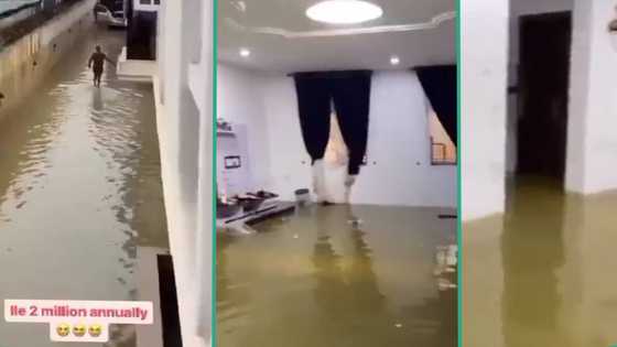 "No need of going to swimming pool": Video of flooded apartment rented for N2m stuns Nigerians