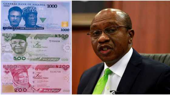 CBN Ya Zargi Wasu Bankuna Da Ɓoye Sabbin Takardun Naira Har N4.2bn A Wata Jihar Kudancin Najeriya