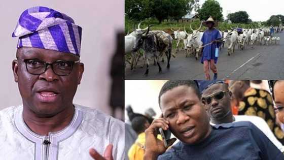 Sunday Igboho: He stood when big men were indoor - Fayose warns against arresting activist