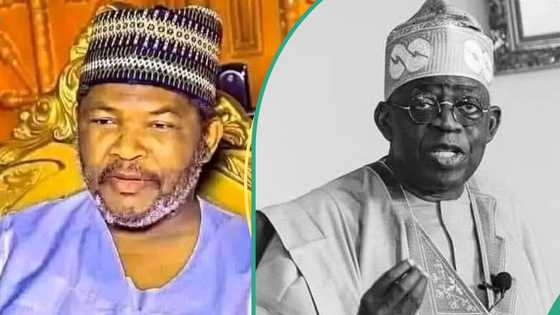2027 election: Influential Kano cleric mentions most befitting leader for Nigeria