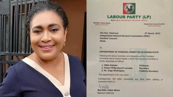 Labour Party appoints Hilda Dokubo as caretaker chairman for Rivers state chapter