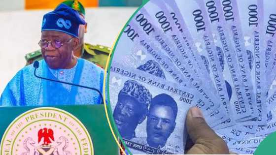Report shows how public officials collected N721bn bribe in 2023