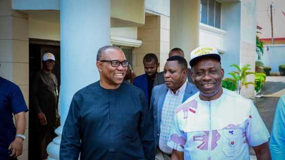 2023: "I wish you well" - Opposition governor tells Peter Obi after closed-door meeting