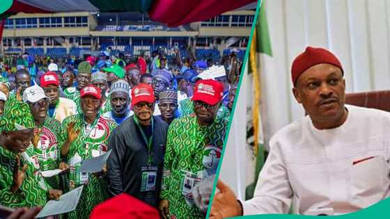 Rikicin PDP: Sanata Anyanwu ya dora laifin abubuwan da ke faruwa kan gwamnoni 7