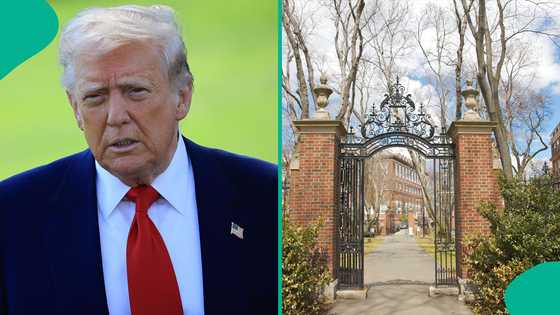 Trump stops Harvard University from enrolling Nigerians, other foreign students