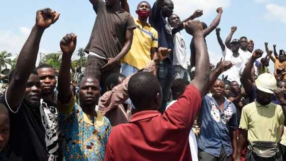 Mun zo taya ku yakar Rasha: Dandazon 'yan Najeriya sun cika ofishin jakadancin Ukraine