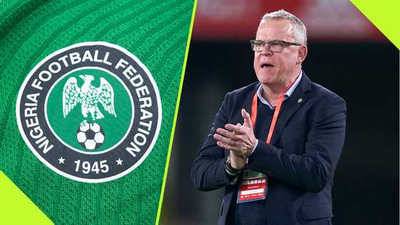 Swedish coach rekindles interest in Super Eagles job: report