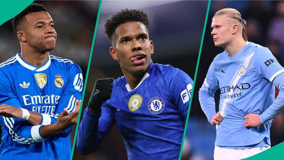 Estevao joins Mbappe and Haaland on Champions League list after goal vs Barcelona