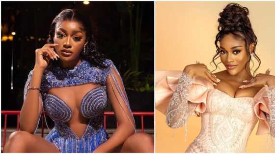 "If e too cost go another place aunty": BBNaija Beauty calls out photographer who charged her N500k per look