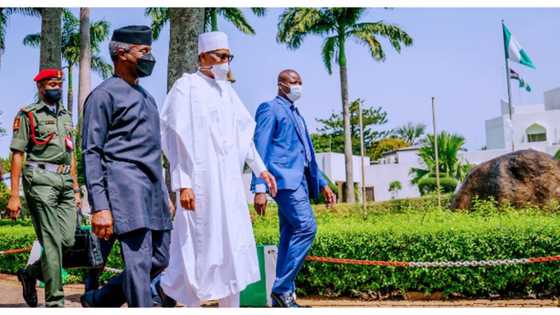 Breaking: Great news as Buhari launches new scheme to employ Ex-NYSC members
