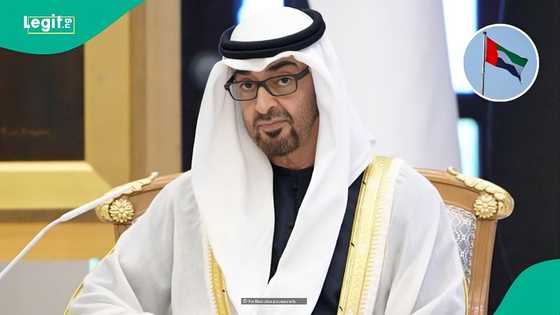 UAE opens website where foreigners can check if they qualify for Golden Visa