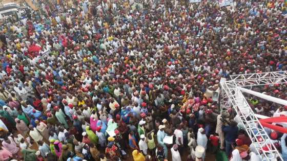 2023: Karya ta Kare Bayan INEC ta Fitar da Adadin Wakilan Zaben Kowace Jam’iyya
