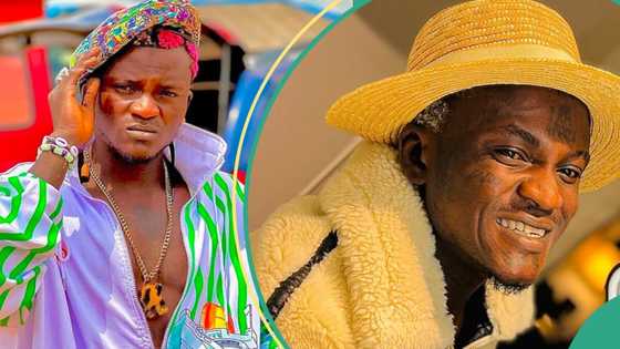 "It is a taboo for Portable": Ifa Priest tells what will happen to Zazu if he stops being dramatic