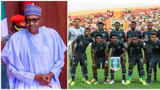 Losing is part of the game - Presidency berates Nigerians blaming Buhari for Super Eagles' defeat to Tunisia