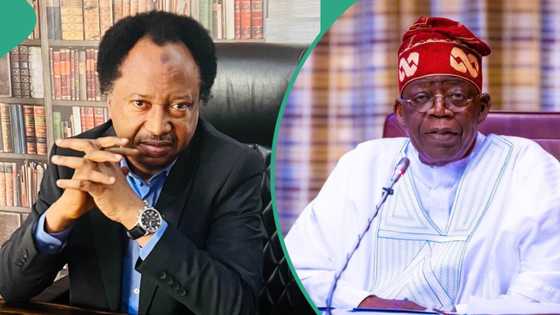 Ma'aikata za su rasa ayyukansu, Shehu Sani ya yi martani kan amincewa da rahoton Oronsaye