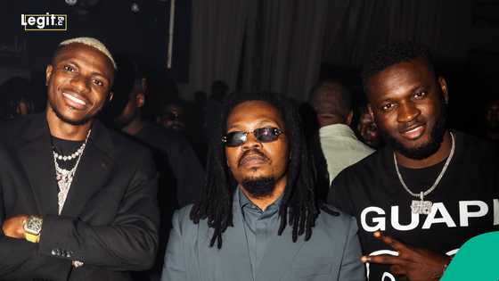 "See men": Olamide beams as Osimhen, Obagoal, Boniface grace album listening, video