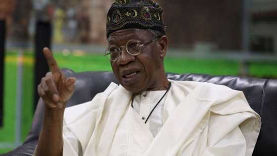 Lai Mohammed to Nigerians: Patriots don’t badmouth their country