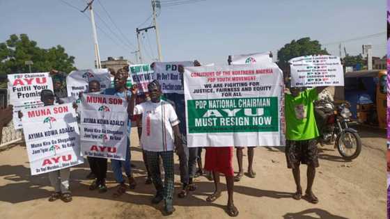 Rikicin PDP Ya Kara Tsananta, 'Yan'Yan Jam'iyyar Sun Barke da Zanga-Zangar 'Ayu Must Go' a Katsina