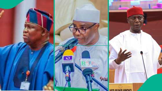 2027 elections: Full list of Senators bidding goodbye to Senate and why