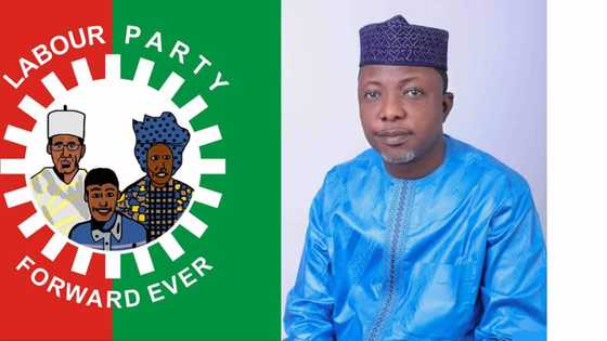 Drama in Labour party continues as leaders, candidates, disown embattled spokesperson