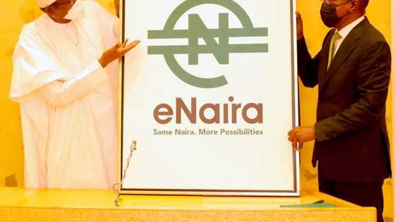 Why I approved CBN’s plan to launch eNaira, Buhari gives important reason
