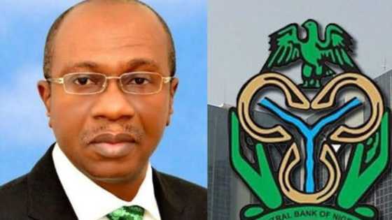 Da Duminsa: CBN Zata Sake Tsarin Wasu Takardun Kudin Najeriya